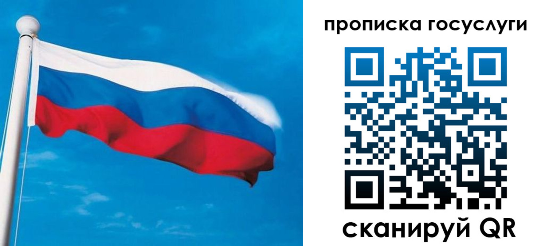 временная регистрация 2025 в Светлом
